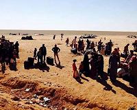 Niger to develop national security strategy to fight terror
