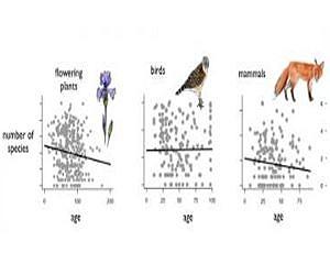 Why are there so many species of beetles and so few crocodiles?