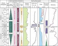 Paleontology: Diversification after mass extinction