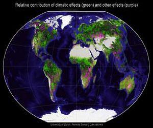 Four degree rise will end vegetation 'carbon sink'