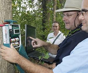 New Scientific Field Will Study Ecological Importance Of Sounds