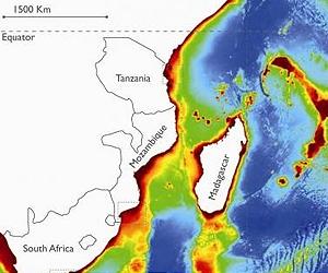 Against The Tide: Currents Keep Dolphins Apart