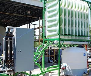 Algae biofuel industry seeks tax incentive