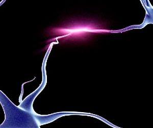Reversing Paralysis with a Restorative Gel