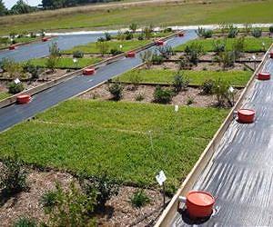 Dairy manure goes urban
