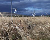 In wildfire prone areas, grasslands better than trees for carbon storage
