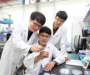 No more leakage of explosive electrolyte in battery