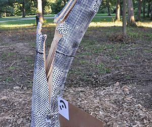 Morton Arboretum Partners with NASA to Understand why Trees Fail