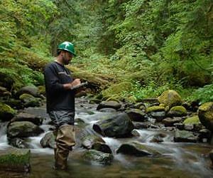 'Watering the forest for the trees' emerging as priority for forest management