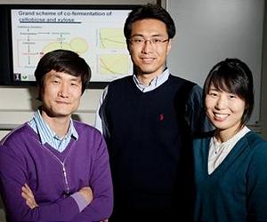 Team Overcomes Major Obstacles To Cellulosic Biofuel Production