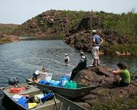 Forest loss starves fish