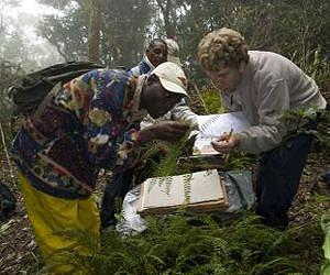 More land needs protection to satisfy treaties, study shows