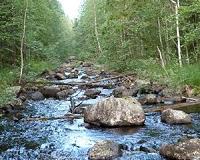 Restored streams take 25 years or longer to recover
