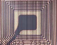 Transportation App Offers Significant Revenue Opportunities For RFID Technology
