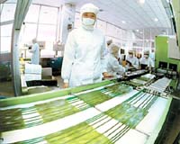 Foreign direct investment in China up 41.6 percent: govt