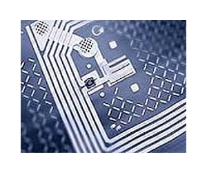 US schoolgirl loses ID locator chip battle