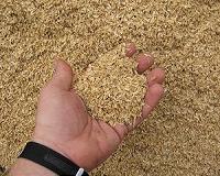 Turning rice farming waste into useful silica compounds