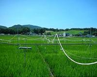 Increased carbon dioxide levels in air restrict plants' ability to absorb nutrients