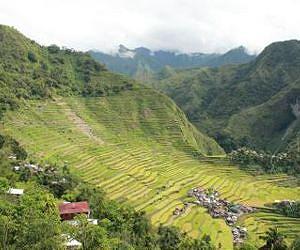 US debt deal helps Philippines save forests