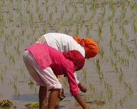Biogas brings 'green revolution' to rural Nepal