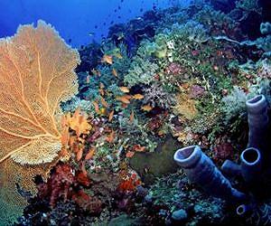 Study in Nature reveals urgent new time frame for climate change