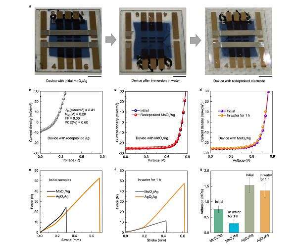 Revolutionary waterproof, flexible solar film unveiled by RIKEN