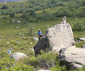 Penn Study Finds Earlier Peak for Spain's Glaciers
