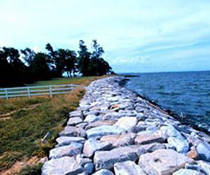 New report questions hard-edged 'living shorelines' in estuaries