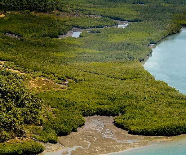 G.Bissau's Bijagos archipelago added to UNESCO World Heritage list