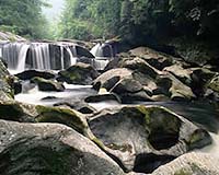 Estrogen Flooding Our Rivers