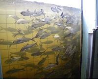 New model predicts fish population response to dams