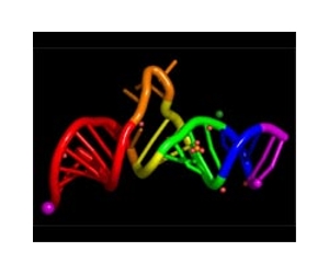 Did Metabolism Come First In Evolution