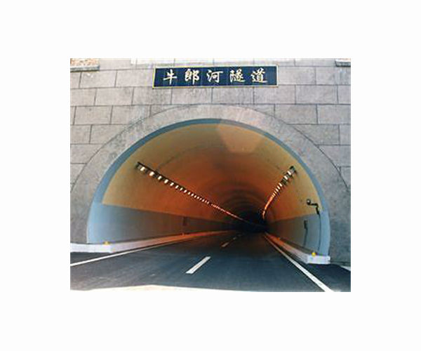 14 killed, 37 injured in north China road tunnel accident