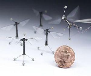 Robotic insects make first controlled flight