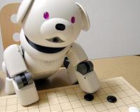 Robot pets to rise in an overpopulated world