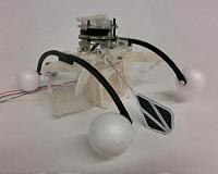 A row-bot that loves dirty water