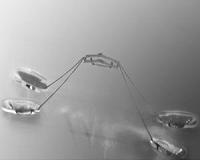 Robots activated by water may be the next frontier