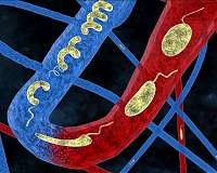 Smart microrobots that can adapt to their surroundings