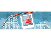 Seeing energized light-active molecules proves quick work for Argonne scientists