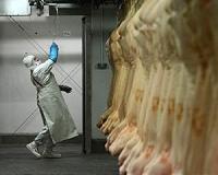 Dutchman at heart of Europe's horse meat scandal charged in France