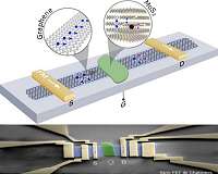 A room temperature field-effect transistor using graphene's electron spin