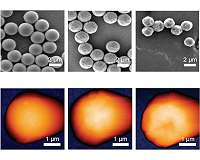 Study shows how rough microparticles can cause big problems