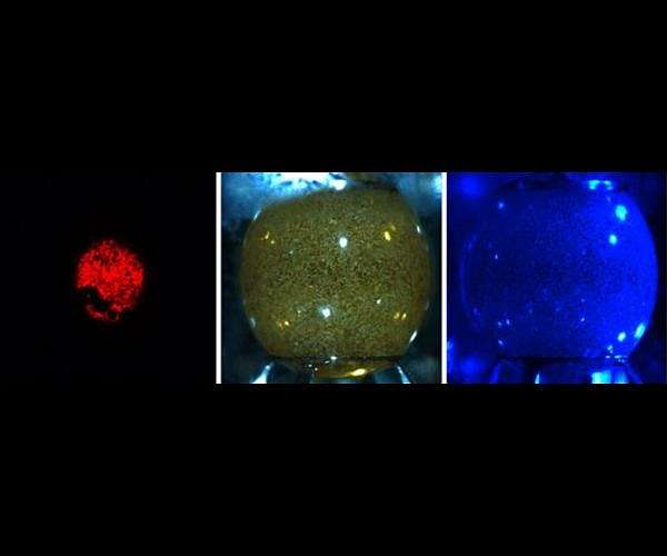 Rensselaer researchers using drop module for advanced protein studies on ISS