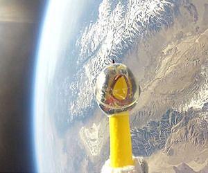 Rubber Chicken Flies into Solar Radiation Storm