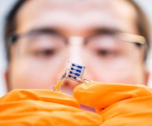 Efficient organic solar cells processed from green solvents