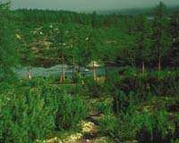 Europe's forests flourishing, but fire remain a threat: study