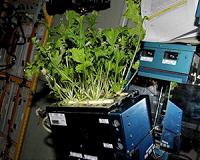 Russia space center to work with US on spaceflight biomed issues