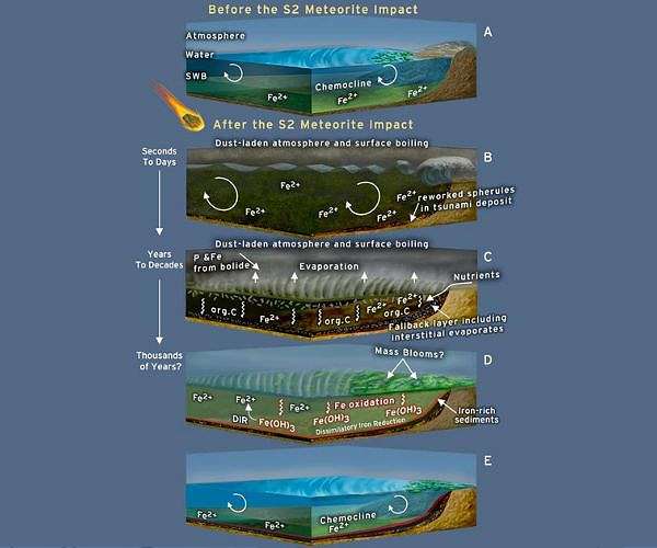 Meteorite impact shaped early Earth and promoted life