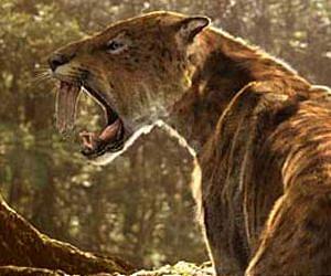 Prehistoric Predators With Supersized Teeth Had Beefier Arm Bones