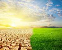 UN calls for 'Global Green New Deal' to boost world economy